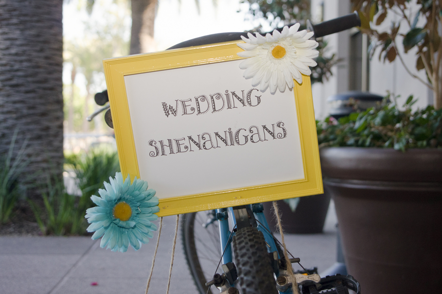 Wedding Shenanigans Wedding Fanatic