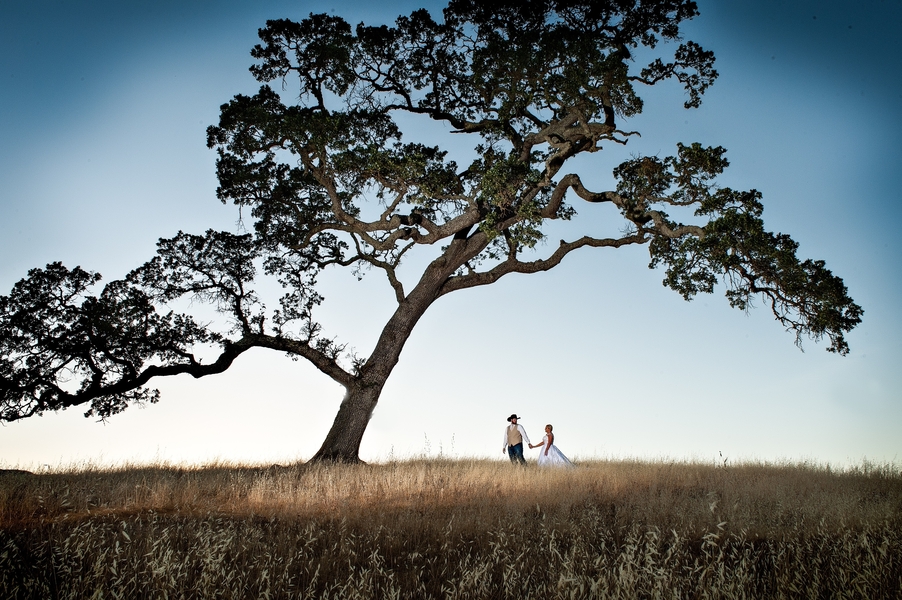 Historic Santa Margarita Ranch Elegant Summer Wedding