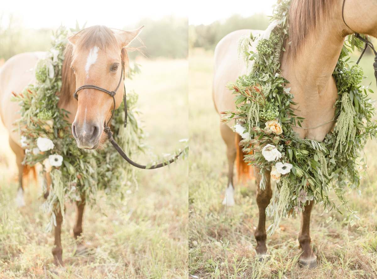 Equestrian Bridal Portraits