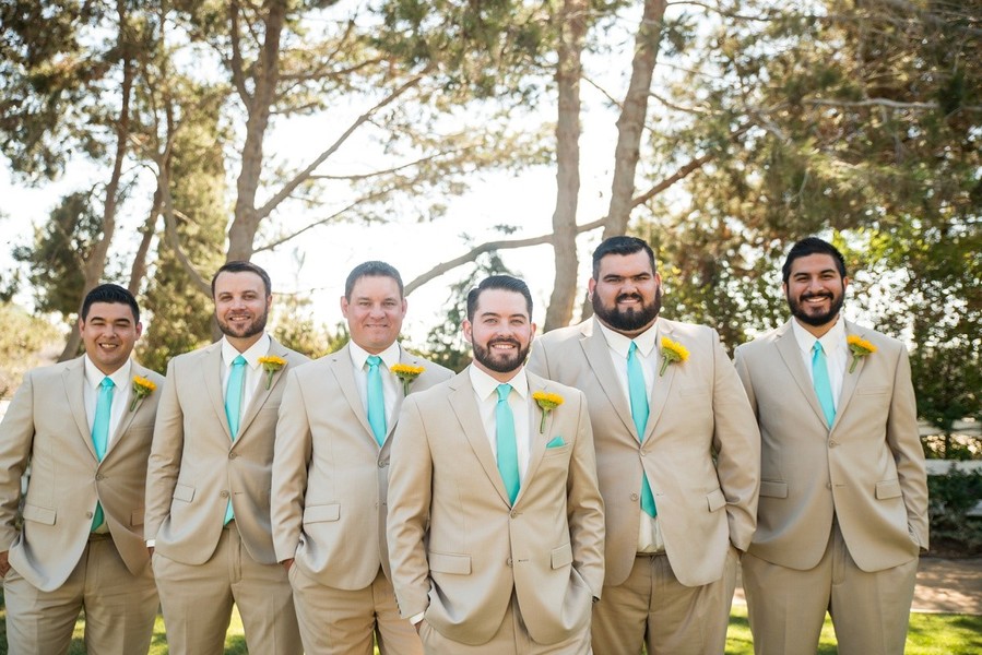 Rustic and Robins Egg Blue California Barn Wedding