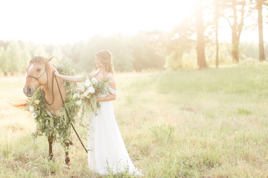 Equestrian Bridal Portraits