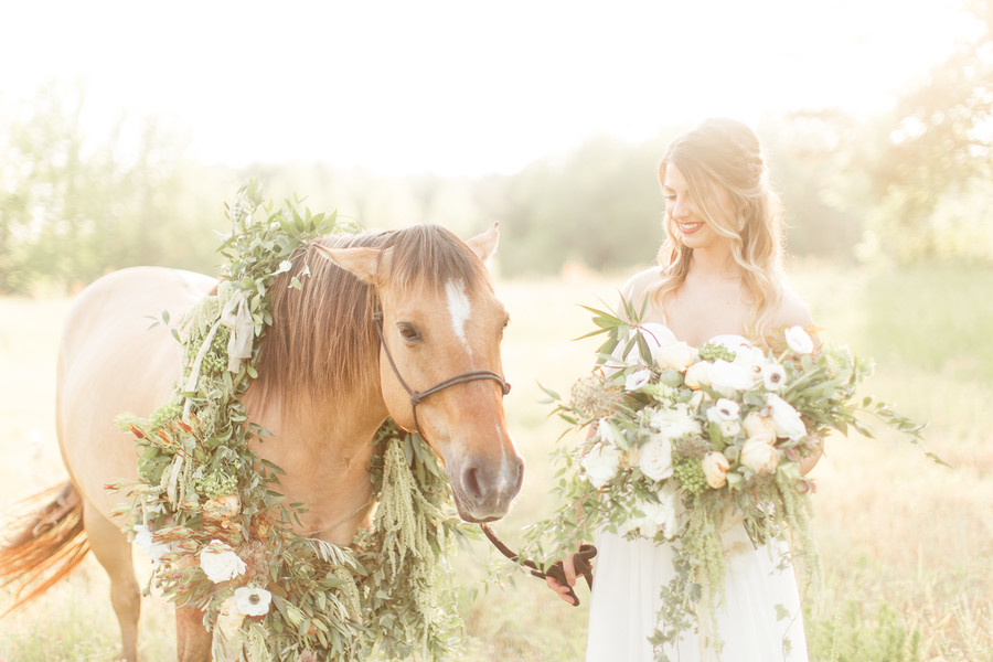 Equestrian Bridal Portraits