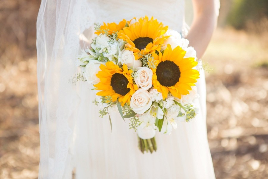 Rustic and Robins Egg Blue California Barn Wedding