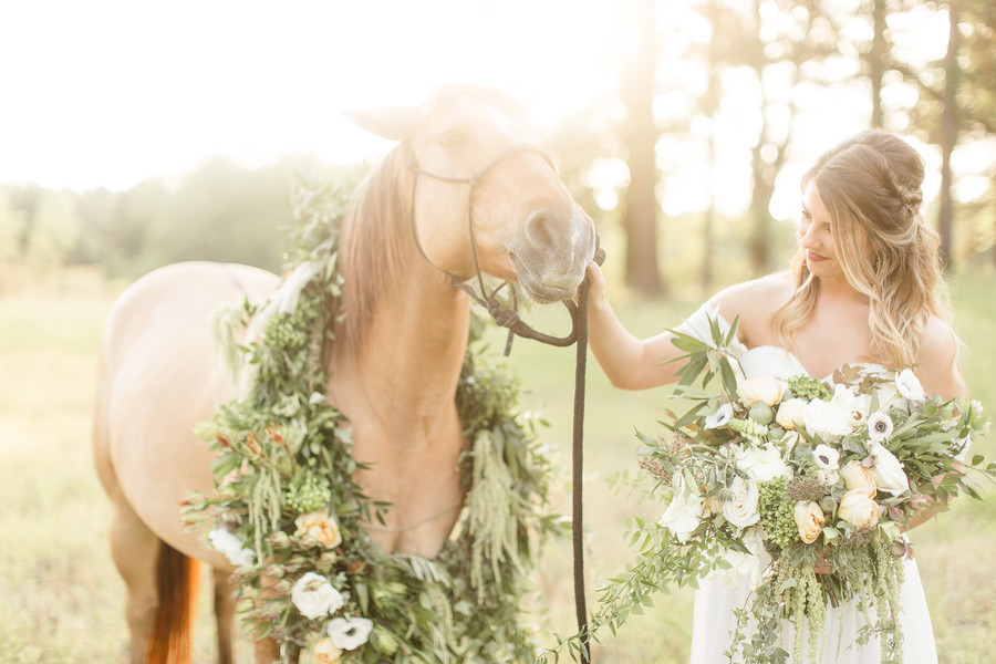 Equestrian Bridal Portraits