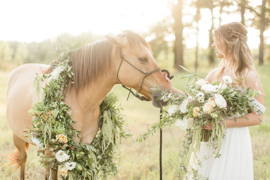 Equestrian Bridal Portraits