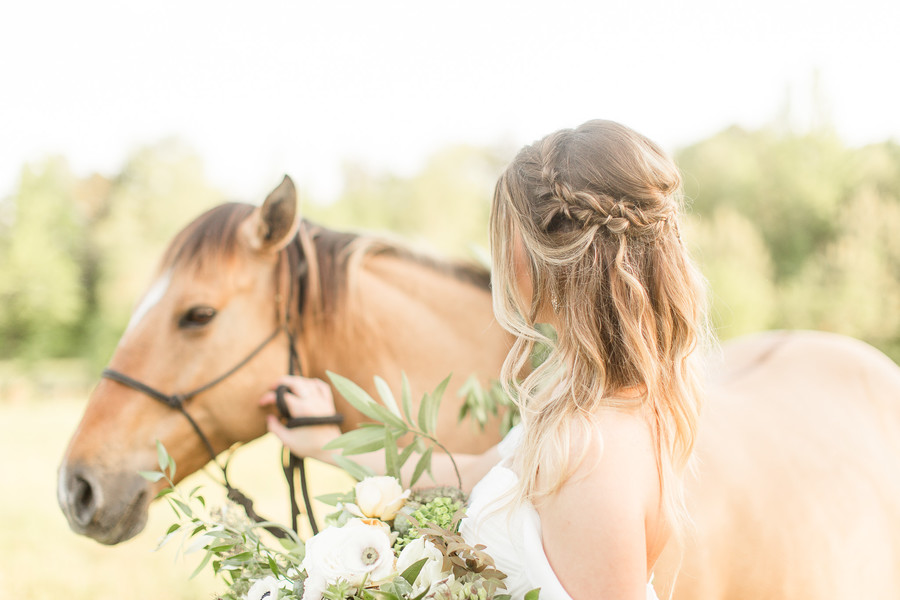 Equestrian Bridal Portraits