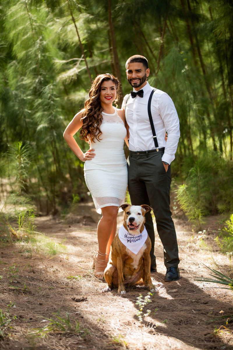 Pampas Grass Park Engagement Shoot