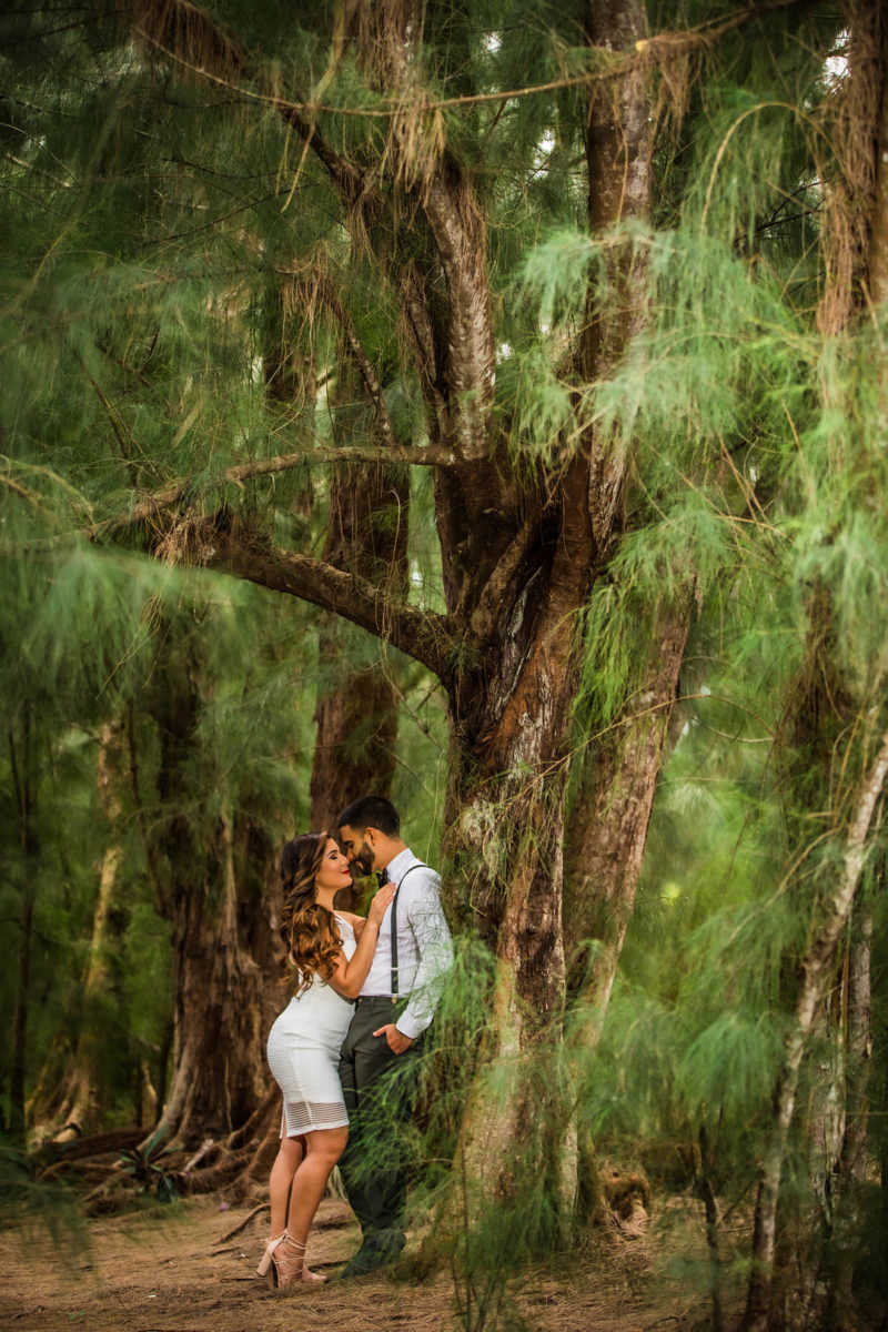 Pampas Grass Park Engagement Shoot