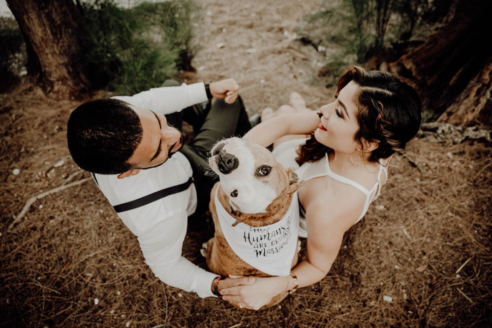 Pampas Grass Park Engagement Shoot