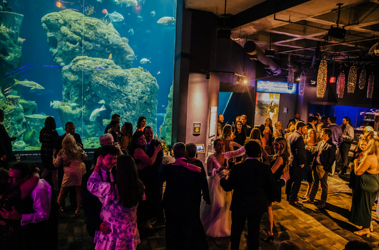 A Fall Wedding in a Seaworld Experience