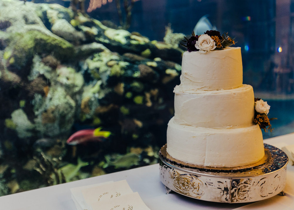 A Fall Wedding in a Seaworld Experience