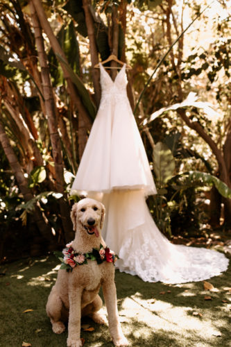 Dreamy Outdoor Wedding