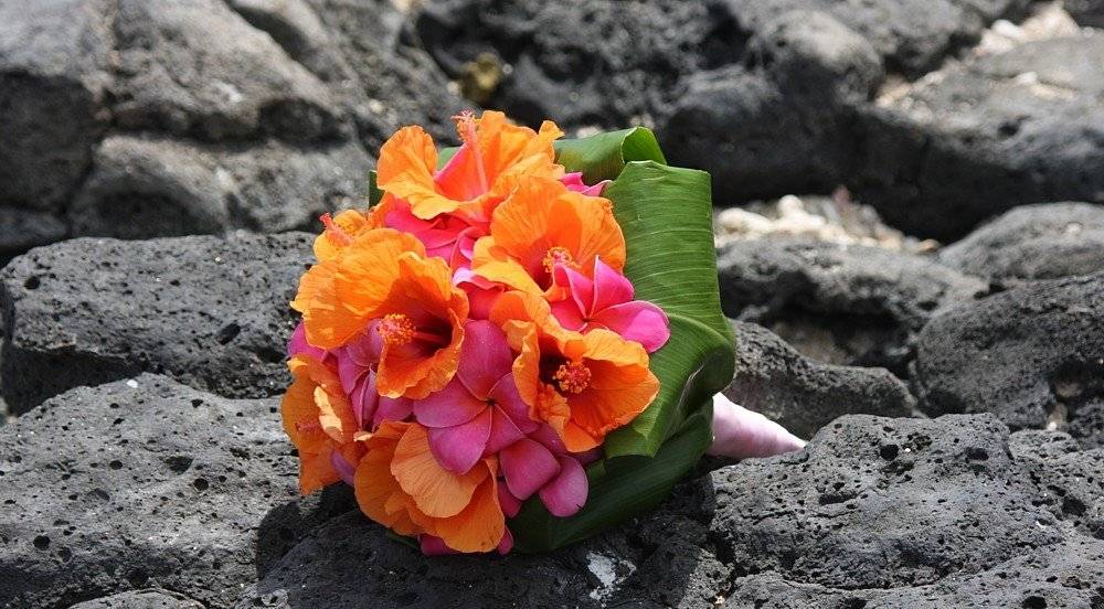 Grow Your Own Wedding Bouquet: Summer Flowers You Can Grow Grow Your Own Wedding Bouquet: Summer Flowers You Can Grow