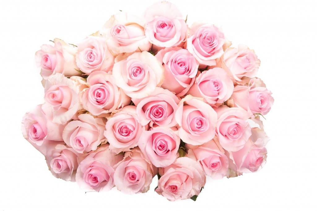 Grow Your Own Wedding Bouquet: Summer Flowers You Can Grow Grow Your Own Wedding Bouquet: Summer Flowers You Can Grow