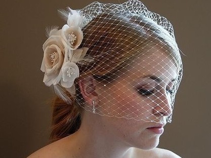 Birdcage Veil