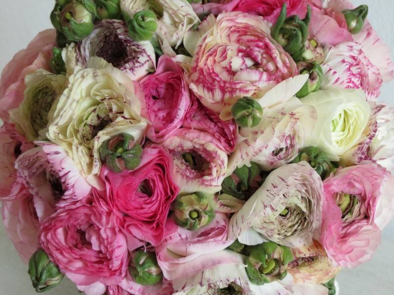 6 Unbelievably Beautiful Wedding Bouquets