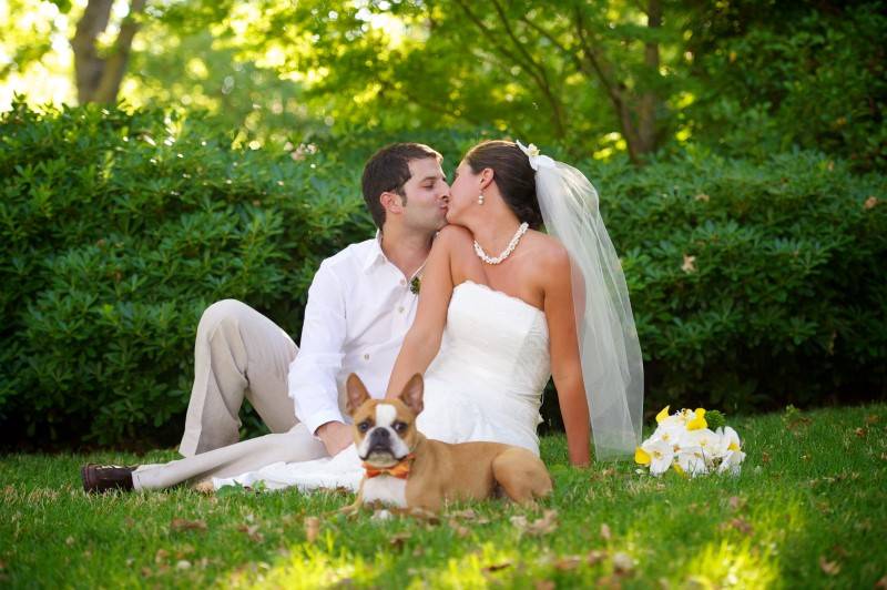 7 Dogs in Tuxedos for Weddings