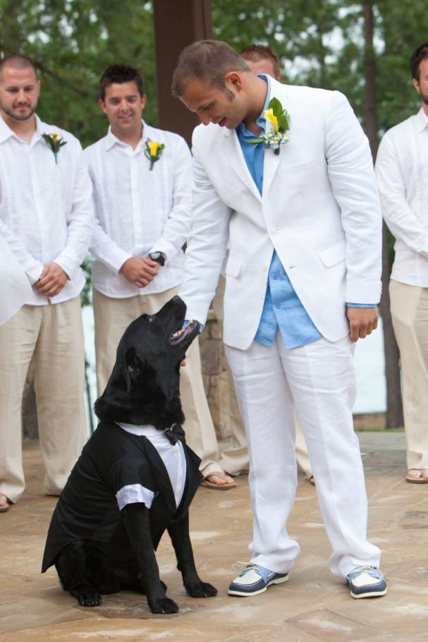 7 Dogs in Tuxedos for Weddings