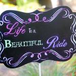 Life Is A Beautiful And Colorful Ride
