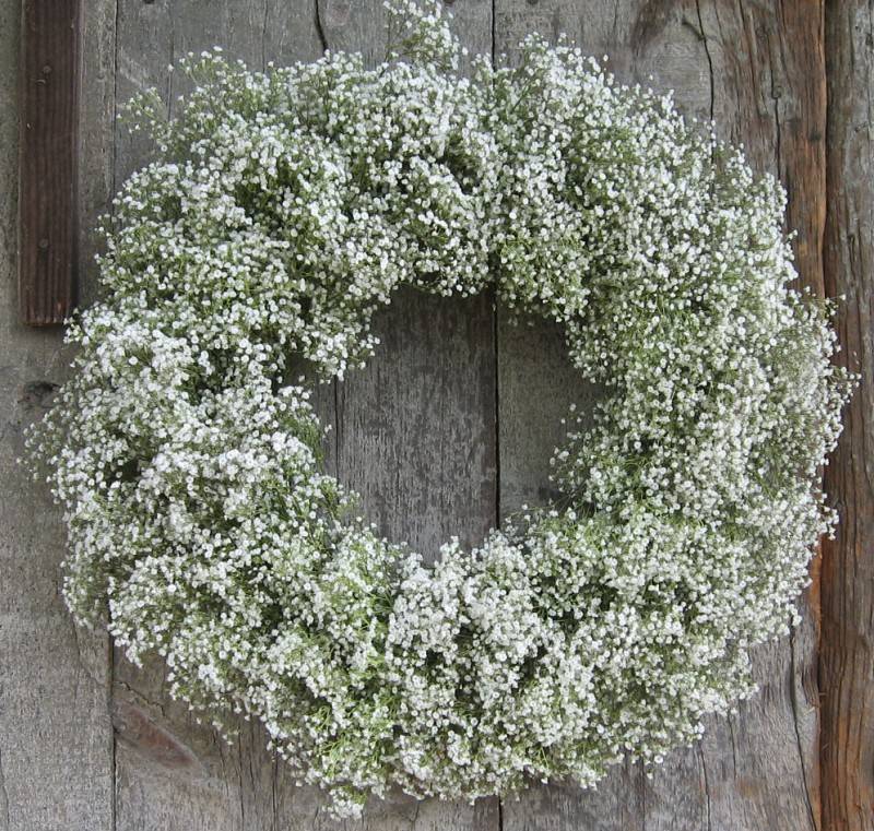 Stunning Babys Breath: Its More than Just Filler