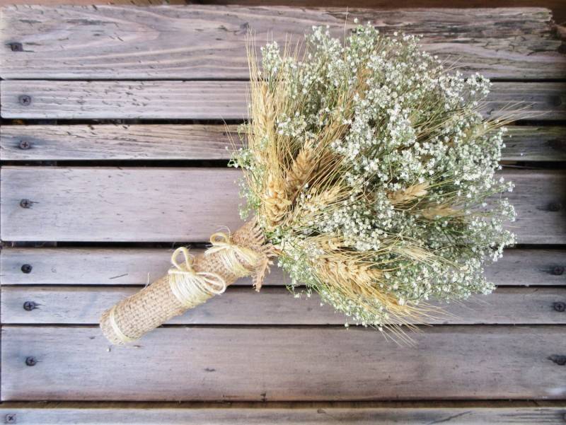 Stunning Babys Breath: Its More than Just Filler