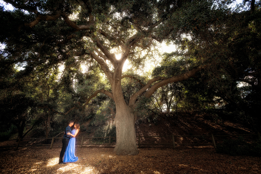 Botanic Garden Engagement