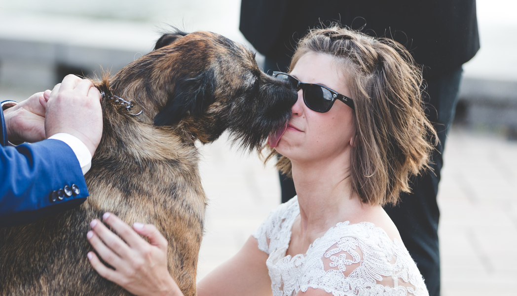 Garden Party Wedding with a Dinosaur themed Twist