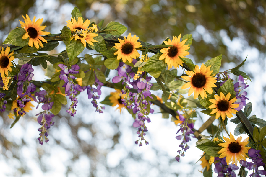 Rustic Purple Sunflower