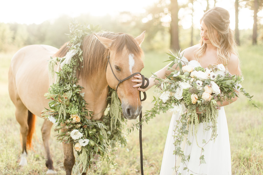 Equestrian Bridal Portraits