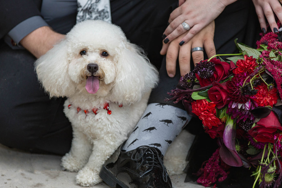 Dark and Vampy Anniversary Session in Historic Cemetery