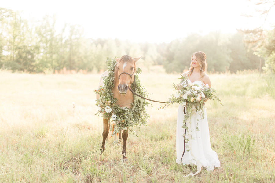 Equestrian Bridal Portraits