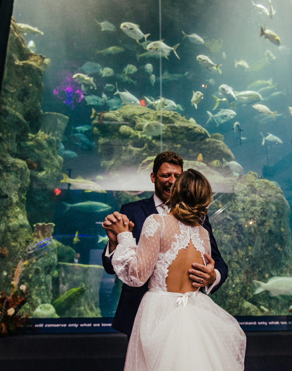 A Fall Wedding in a Seaworld Experience