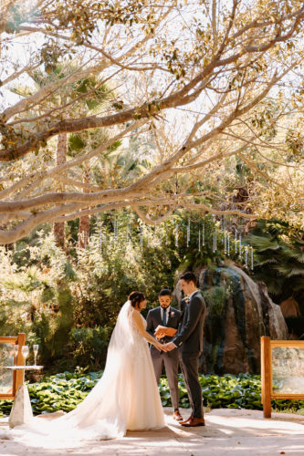 Dreamy Outdoor Wedding