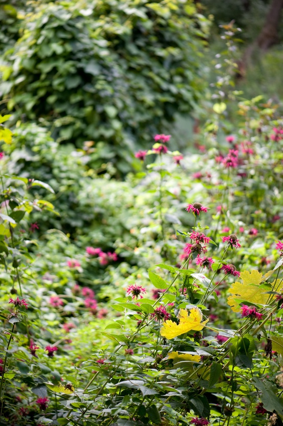 Why You’re Paying Your Local Florist TOO MUCH for Wedding Flowers